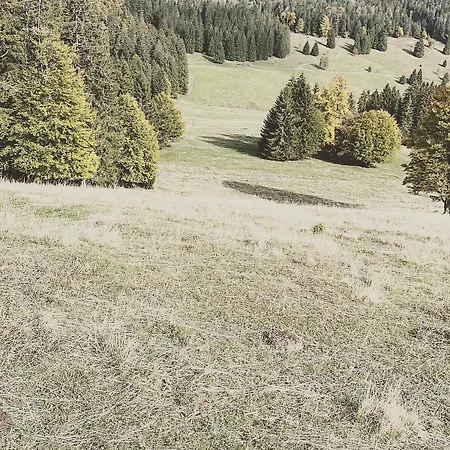 Sporty Vacation Apartamento Schluchsee