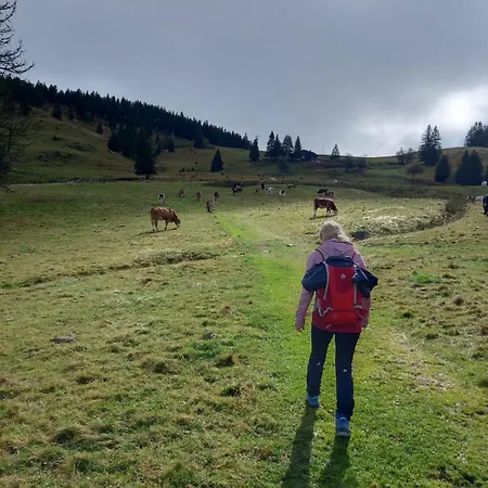 Sporty Vacation Apartamento *