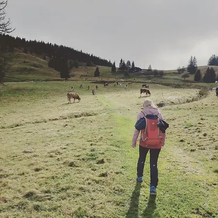 Sporty Vacation Apartamento *