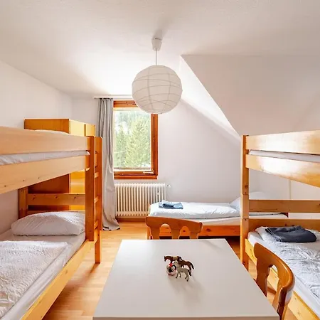 Sporty Vacation Apartamento Schluchsee